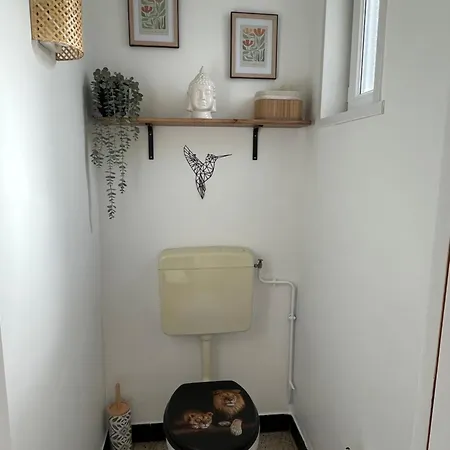 100m Des Dunes De Stella-plage Cucq